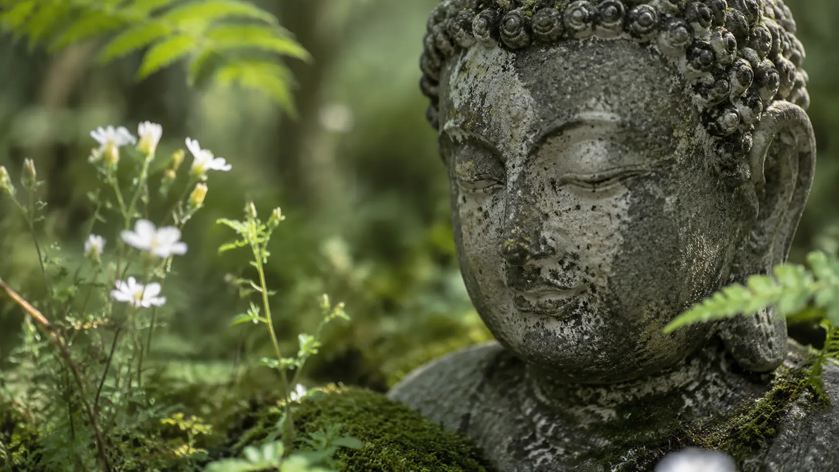 En väderbiten buddhastaty bland mossa och blommor.