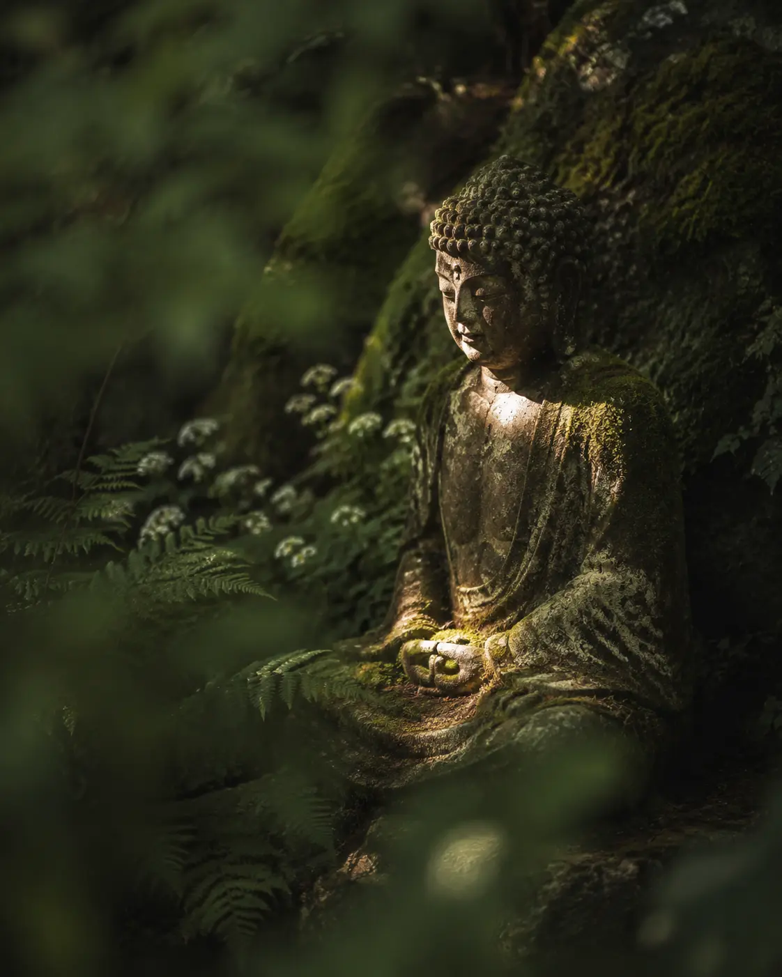 En verklig väderbiten buddhastaty i en stilla skogsträdgård